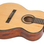 Acoustic Guitar