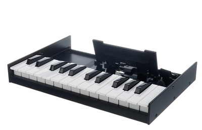 Roland Boutique K-25m Keyboard